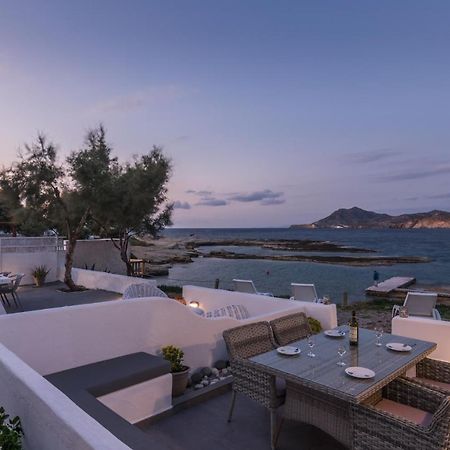 Venia'S Guesthouse بولونيا المظهر الخارجي الصورة
