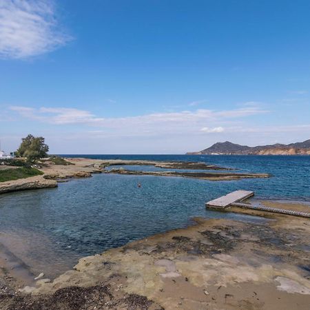 Venia'S Guesthouse بولونيا المظهر الخارجي الصورة