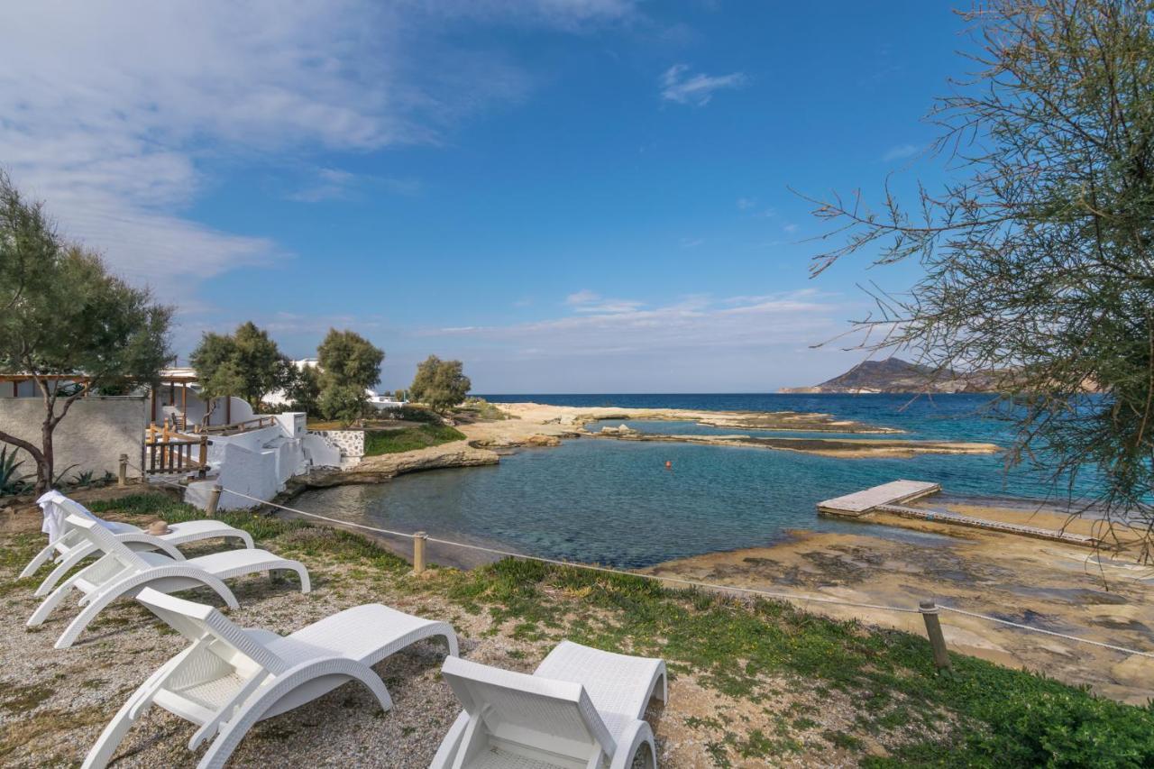 Venia'S Guesthouse بولونيا المظهر الخارجي الصورة
