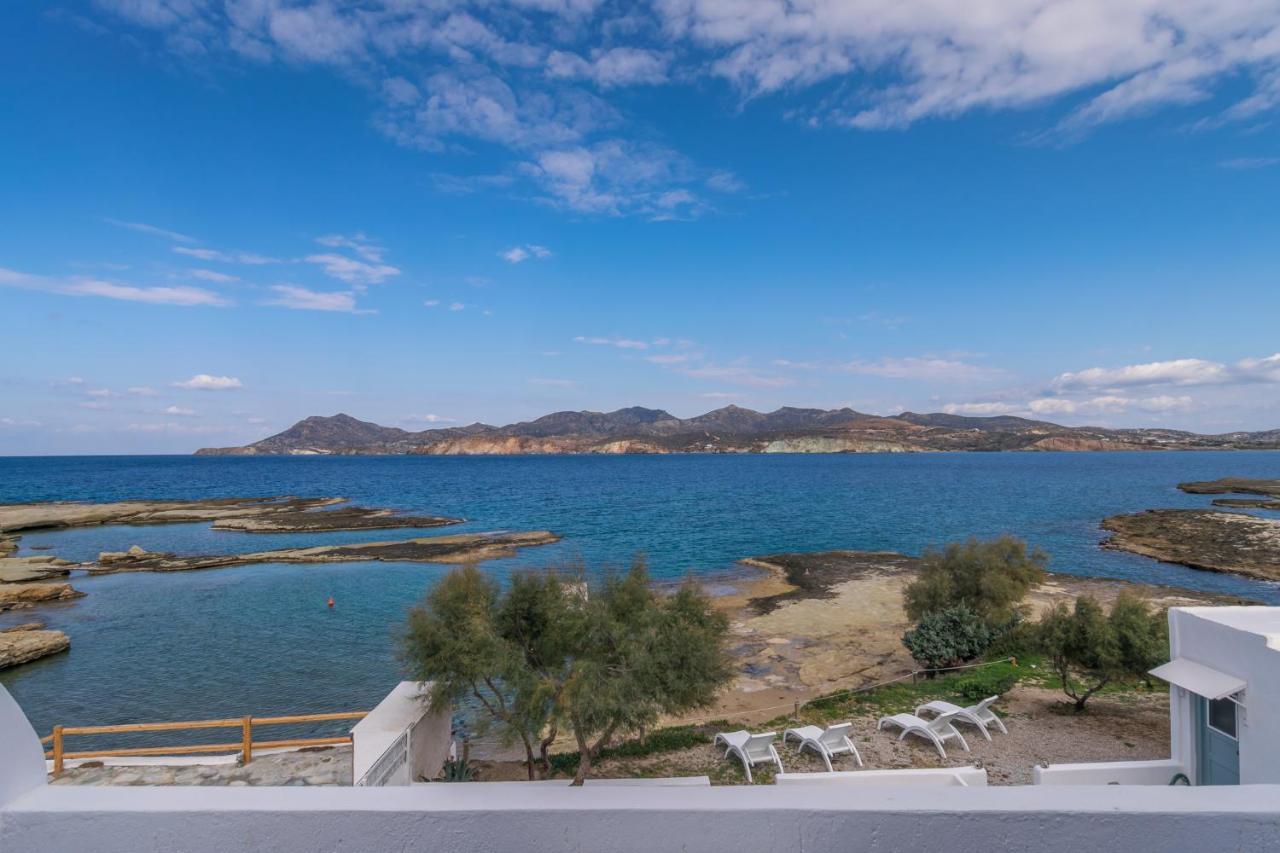 Venia'S Guesthouse بولونيا المظهر الخارجي الصورة