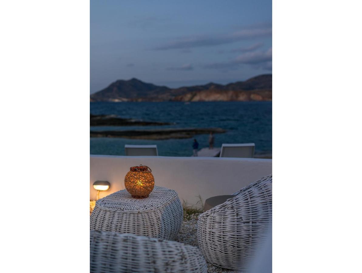 Venia'S Guesthouse بولونيا المظهر الخارجي الصورة