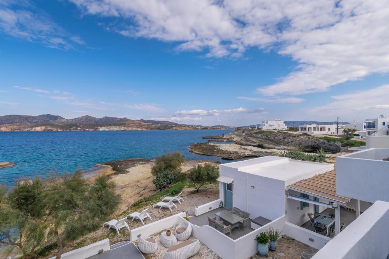 Venia'S Guesthouse بولونيا المظهر الخارجي الصورة