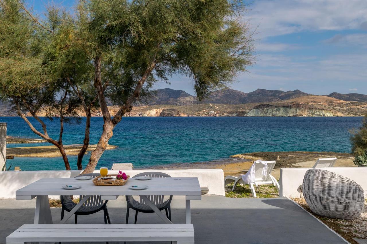 Venia'S Guesthouse بولونيا المظهر الخارجي الصورة