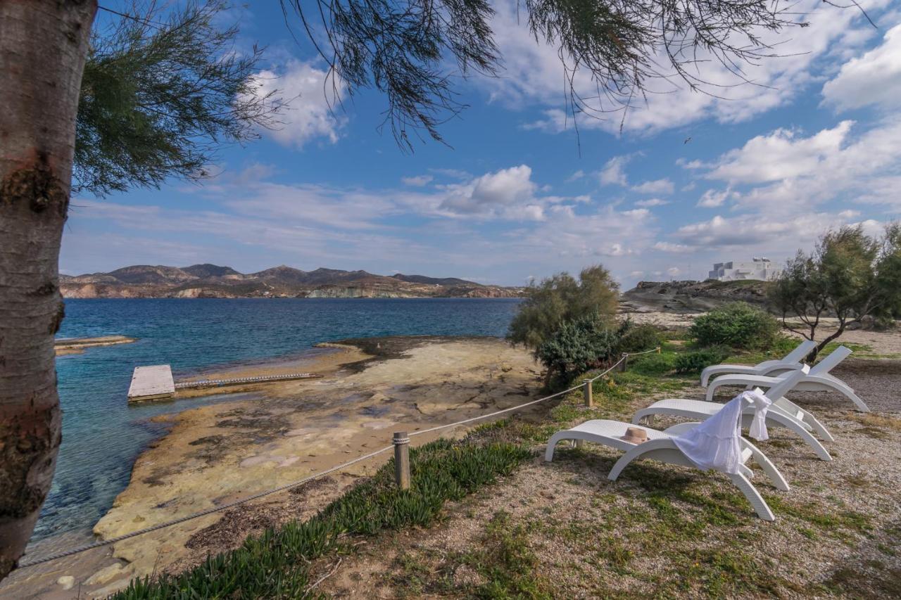 Venia'S Guesthouse بولونيا المظهر الخارجي الصورة