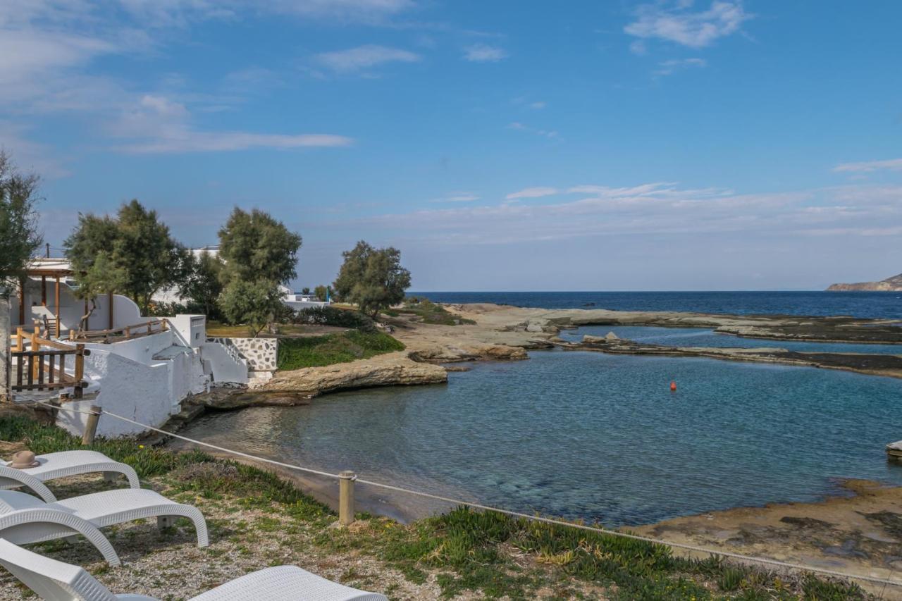 Venia'S Guesthouse بولونيا المظهر الخارجي الصورة