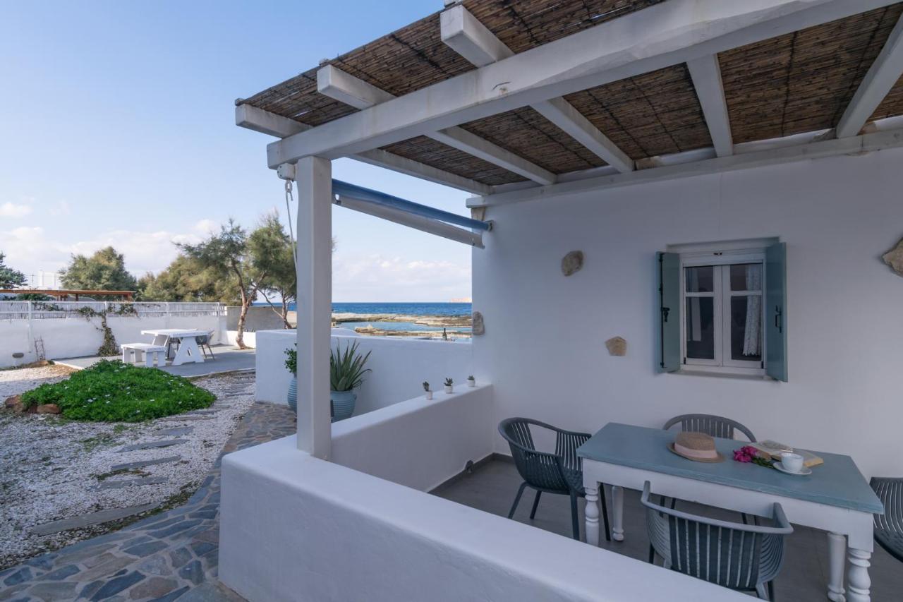 Venia'S Guesthouse بولونيا المظهر الخارجي الصورة