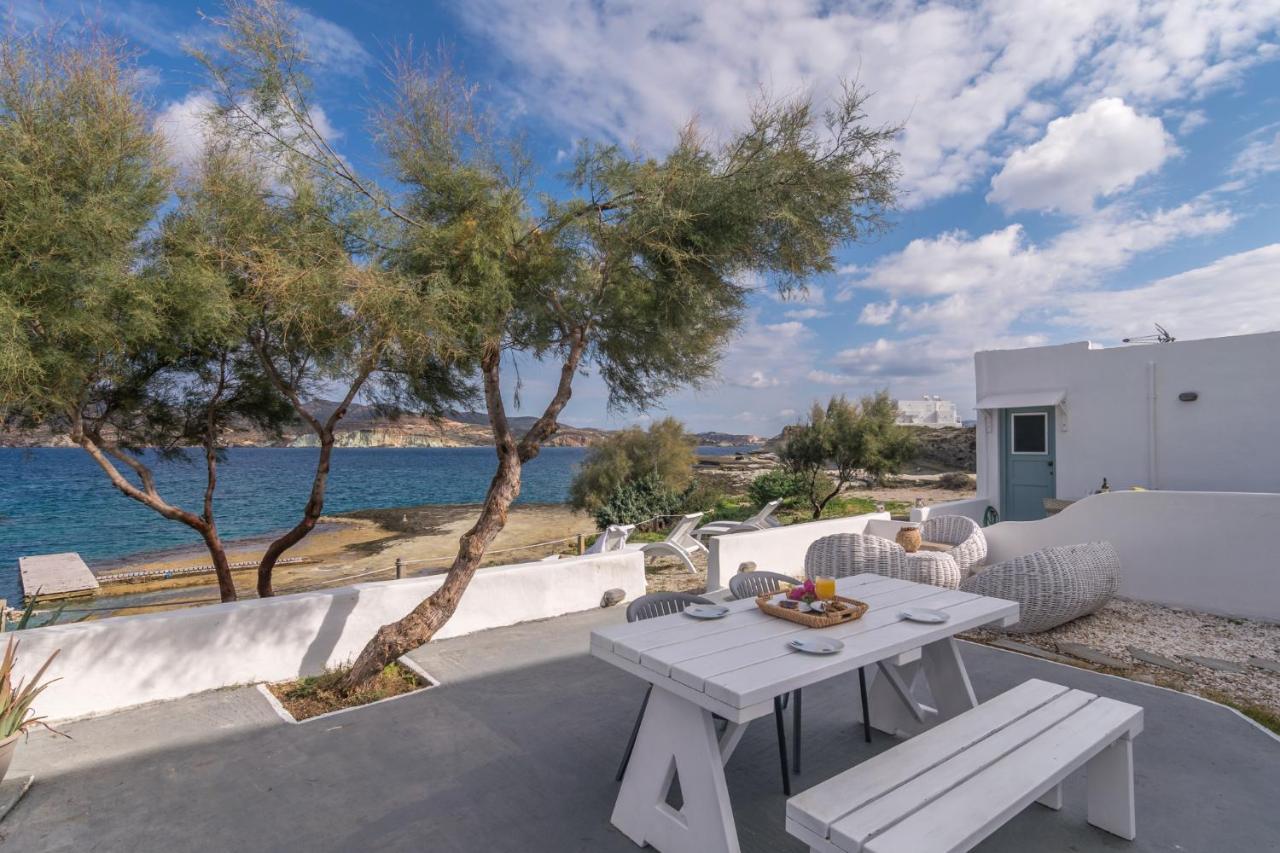 Venia'S Guesthouse بولونيا المظهر الخارجي الصورة