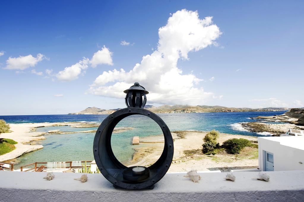 Venia'S Guesthouse بولونيا المظهر الخارجي الصورة